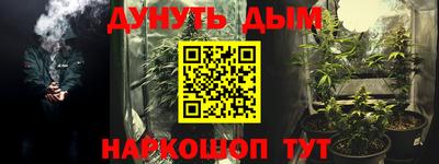 тгк Кингисепп