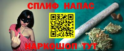 тгк Кингисепп