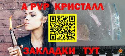 тгк Кингисепп
