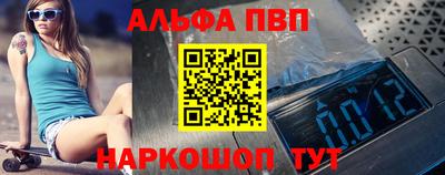 тгк Кингисепп