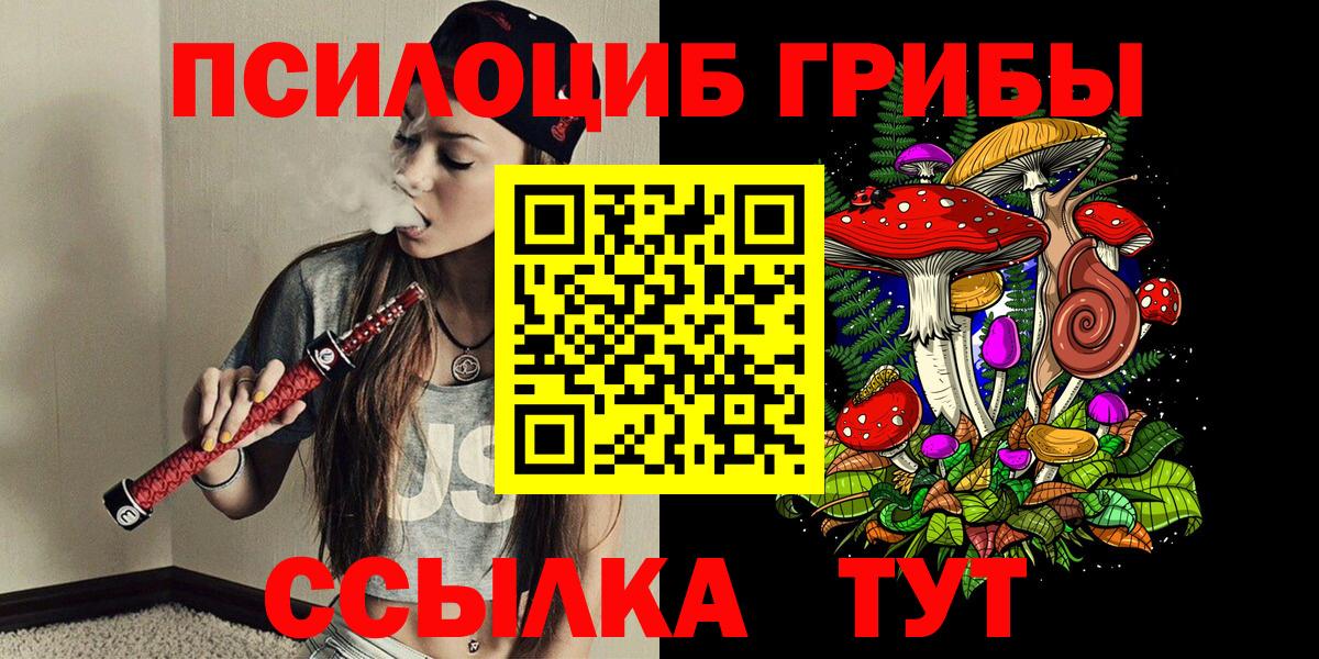 как найти закладки  Галлюциногенные грибы прущие грибы  Вход с VPN  Кузнецк  Галлюциногенные грибы MAGIC MUSHROOMS 